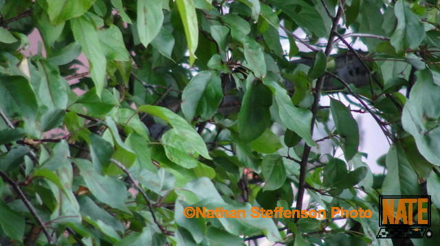 DSC00572