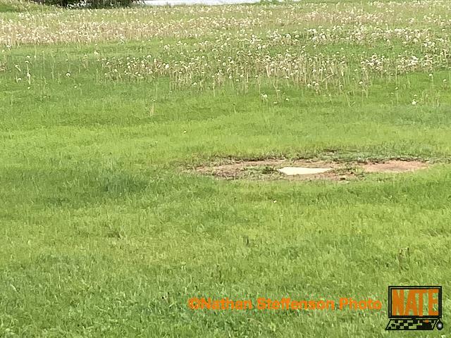 IMG 1432