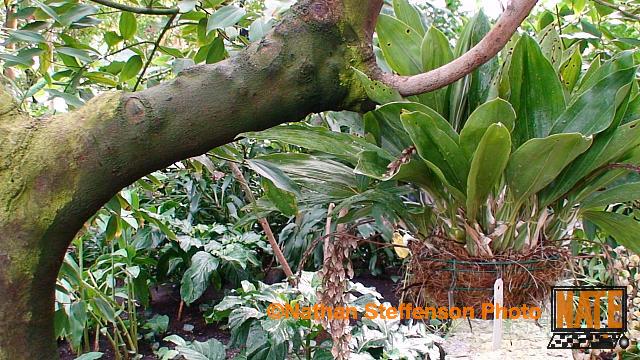 DSC00179