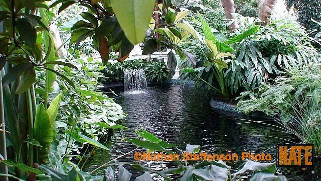 DSC00181
